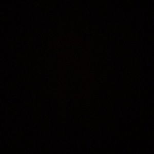 Meet your Posher, Joelyn